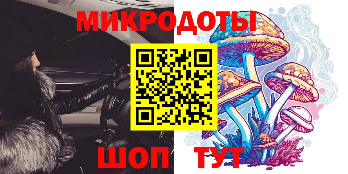 Псилоцибиновые грибы Psilocybe Печора