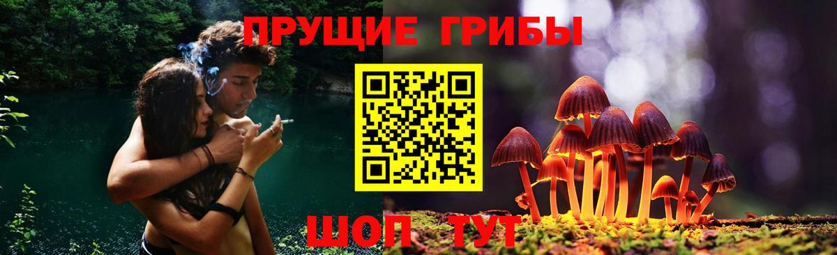 Печора  Галлюциногенные грибы ЛСД  где можно купить наркотик  Вход с VPN 